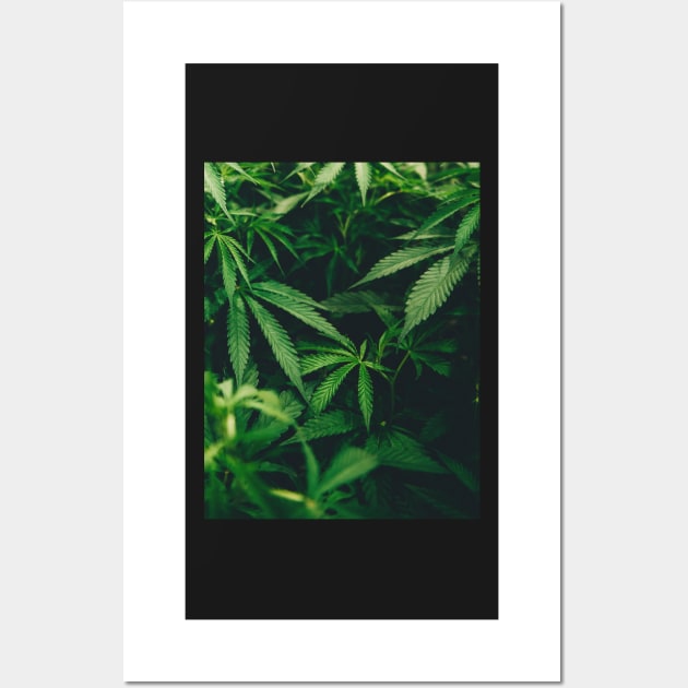 Cannabis Marijuana Leaves Wall Art by moonandcat